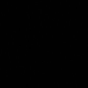 Meet your Posher, Arely